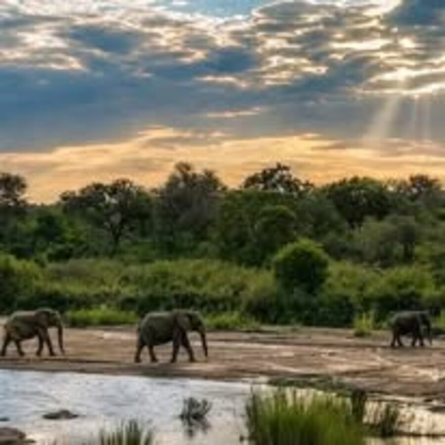 Tsavo Wilderness