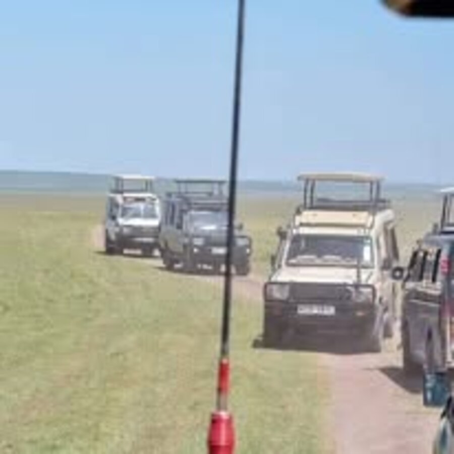 Safari vehicle convoy in Kenya