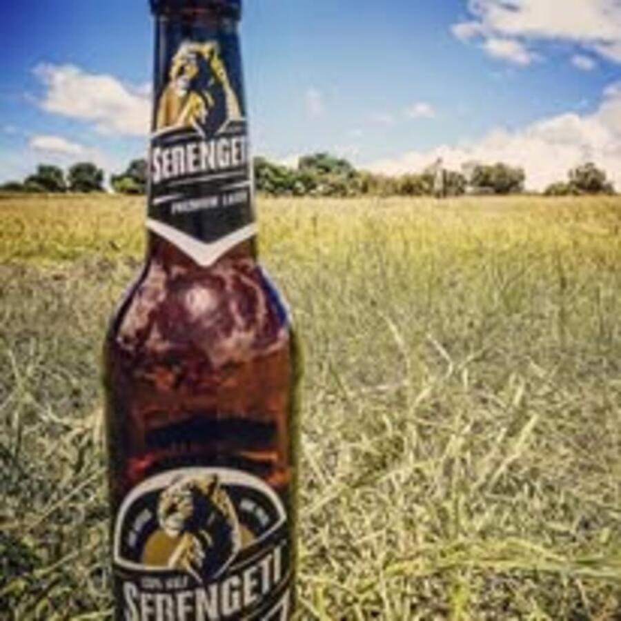 Serengeti sundowner in the field