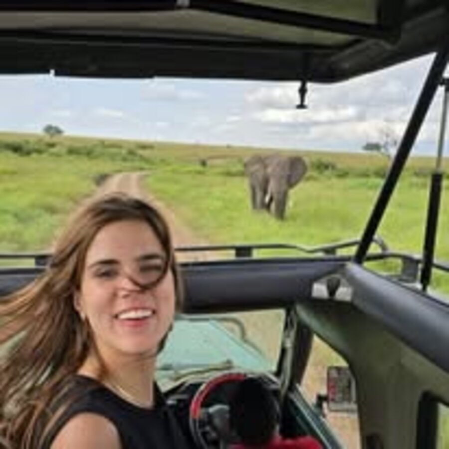 Close encounter with an elephant